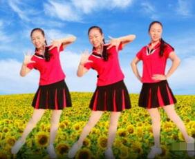 二零二零年网红广场舞,潮流与文化的交融盛宴