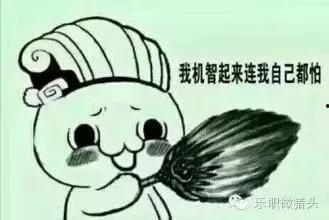 吃瓜别忘了填饱肚子,美食与健康共舞