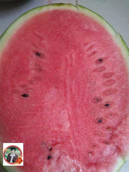 红宝吃瓜,揭秘娱乐圈幕后故事