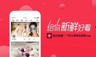 编辑的视频怎么转成头条,如何将编辑视频一键转化为头条精彩概述