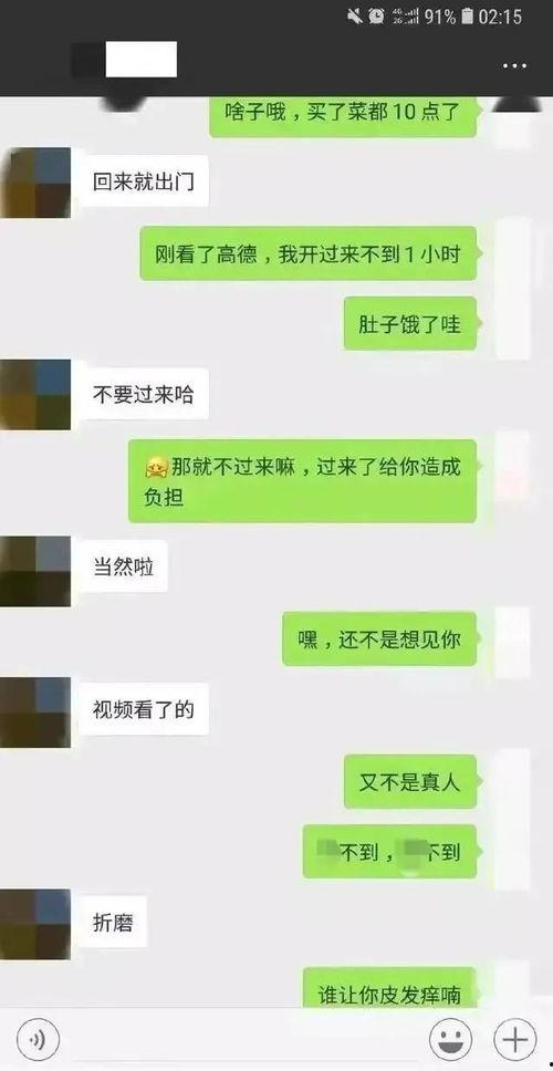 免费吃瓜微信聊天记录,一场微信聊天引发的狂欢盛宴