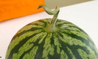 声声吃瓜,揭秘娱乐圈的幕后故事