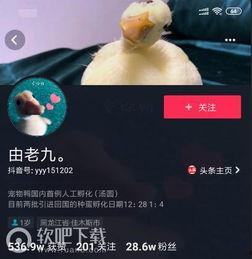 威猛网红鸭视频,视频走红网络，萌态可掬引网友热议