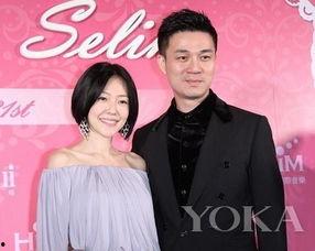 台湾明星家暴离婚,婚姻破裂背后的家庭悲剧