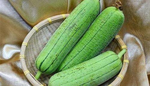 吃带瓜的食物,探索各式带瓜美食的魅力