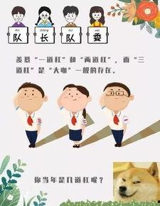 红领巾今日吃瓜,揭秘娱乐圈最新热点事件