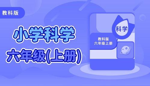 小学科学头条怎么写,小学科学头条聚焦前沿动态