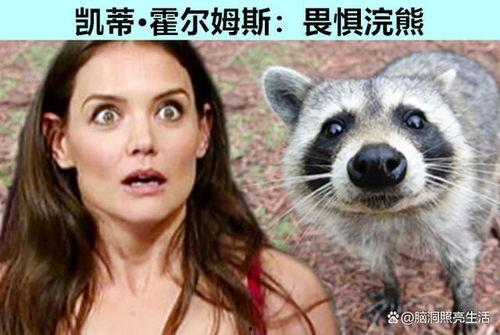 明星害怕尖嘴动物视频,揭秘尖嘴动物视频背后的恐惧真相