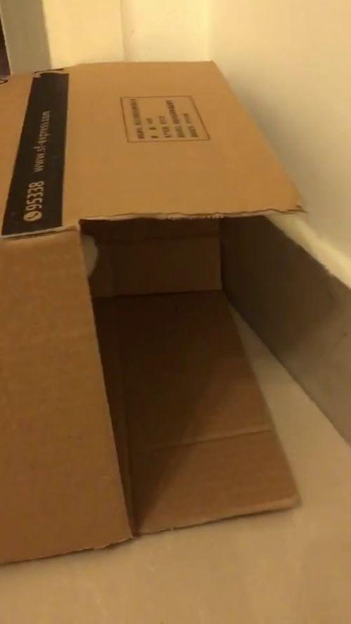 泡沫箱子爆料视频播放,视频爆料背后的惊人真相