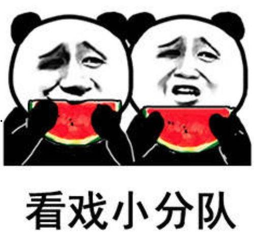 全员吃瓜表情包,表情包狂欢盛宴