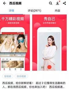 用头条怎么直播西瓜视频,头条直播西瓜视频教程