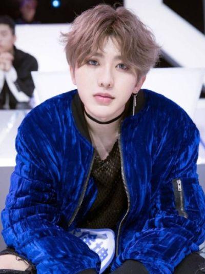 明星之路思嘉人形,探寻偶像的华丽蜕变