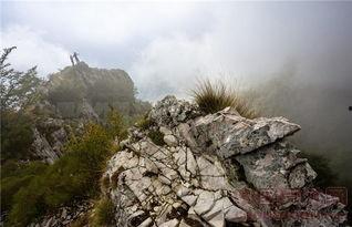 网红跳山崖,揭秘网络直播背后的危险与反思