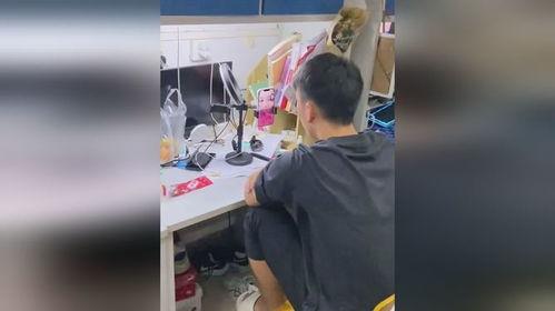 宿舍女生看吃瓜视频,吃瓜视频背后的娱乐现象解析