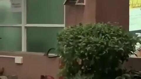 汾阳最近吃瓜新闻,最新吃瓜新闻大盘点