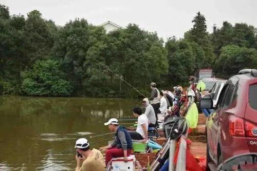 长沙网红垂钓群