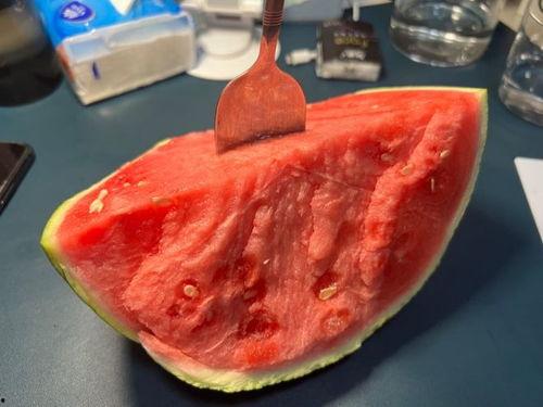 吃瓜拍照怎么拍,如何捕捉吃瓜拍照的瞬间美