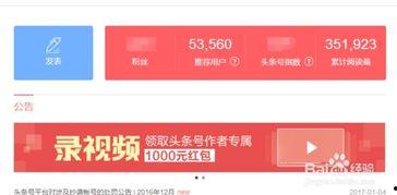 头条怎么开放自媒体账号,头条账号开放指南