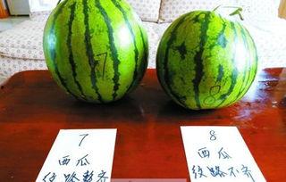 吃瓜宝典西瓜品种