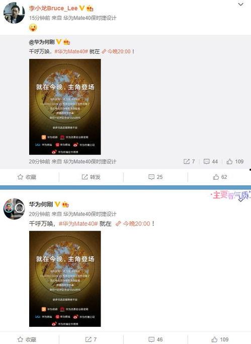 最新国际爆料网站大全视频,视频内容深度解析