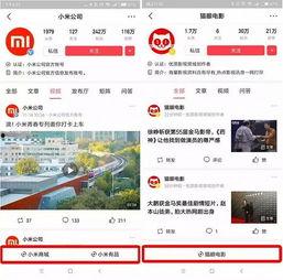 长沙今日头条小程序,洞悉城市脉搏，尽览最新资讯速递