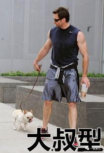 梦见明星遛狗,明星遛狗背后的神秘寓意