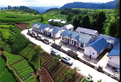 开州区石关镇新闻头条,聚焦石关镇发展新动态，共话乡村振兴新篇章