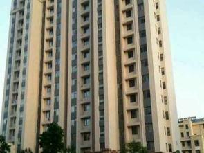 和谐广场解放路头条,聚焦城市繁华新地标