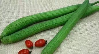 吃瓜暖阳唐十八,吃瓜暖阳下的生活点滴