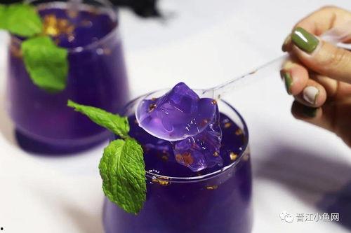 网红满天星,闪耀网络新势力