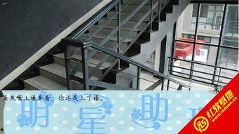 exo之明星助理,揭秘偶像背后的贴心守护者