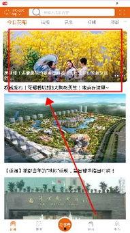 广州花都区新闻爆料,最新爆料揭示事件真相