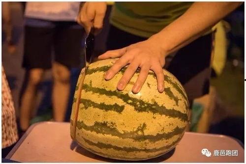 喝醋比赛吃瓜比赛,喝醋与吃瓜大赛精彩瞬间