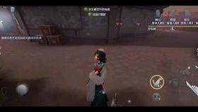 孽杀手机在线观看视频,揭秘网络背后的黑暗真相