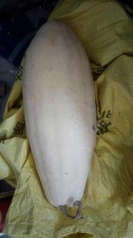 吃白瓜后喉咙刺痒,揭秘原因及应对策略