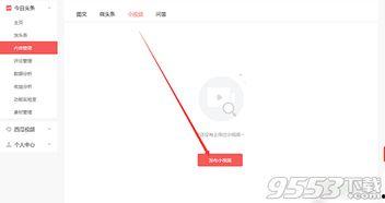 头条极速版视频播放速度,揭秘头条极速版视频播放速度的秘密