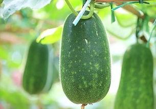 91吃瓜吃最新最热的瓜,揭秘娱乐圈最新最热瓜料，带你一探究竟！