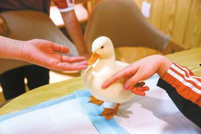 网红鸭咖啡,跨界融合，打造潮流饮品新地标