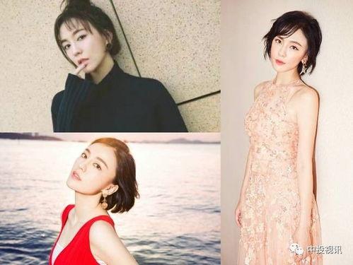 鹿晗郑爽娱乐圈吃瓜