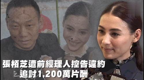 吃瓜一线娱乐,娱乐圈最新热点事件大盘点
